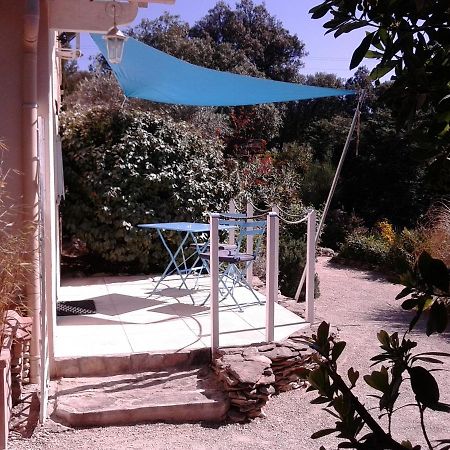Les Florides Apartment L'Isle-sur-la-Sorgue Bagian luar foto