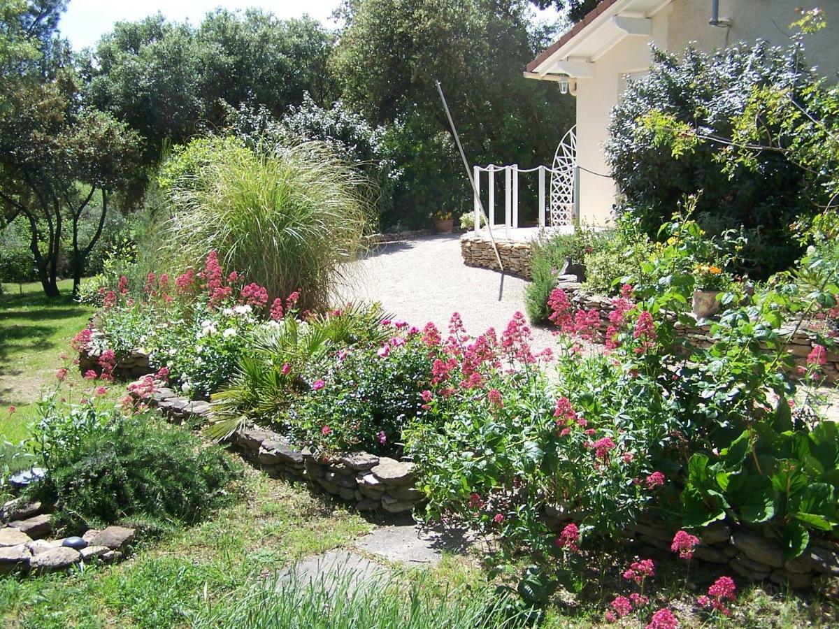 Les Florides Apartment L'Isle-sur-la-Sorgue Bagian luar foto