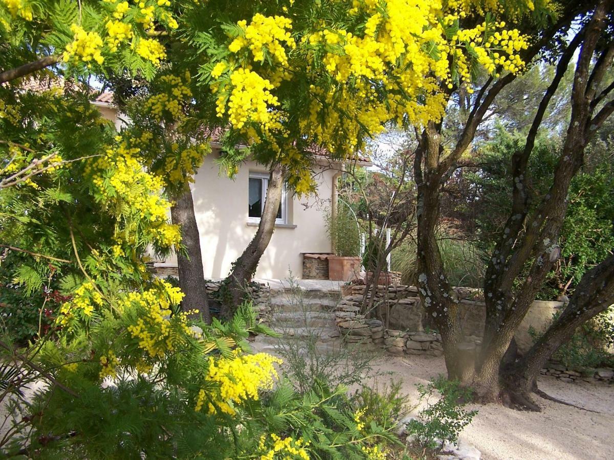 Les Florides Apartment L'Isle-sur-la-Sorgue Bagian luar foto